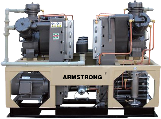 Armstrong Piston Air Compressor